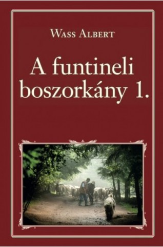 A funtineli boszorkány (könyvborító)