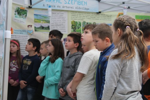 Árral szemben - interaktív foglalkozás