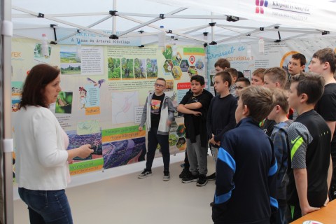 Árral szemben - interaktív foglalkozás