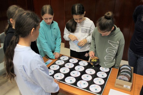 Árral szemben - interaktív foglalkozás