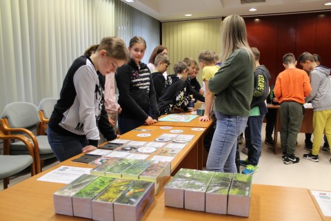 Árral szemben - interaktív foglalkozás