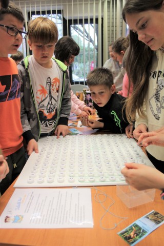 Árral szemben - interaktív foglalkozás