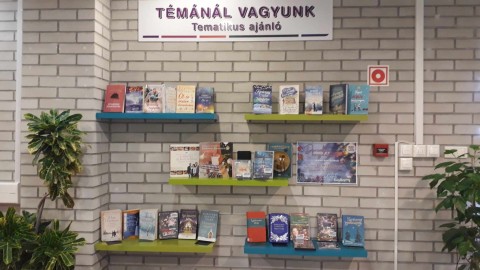 A Témánál vagyunk polcra kihelyezett könyvek