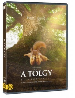 A DVD film borítója
