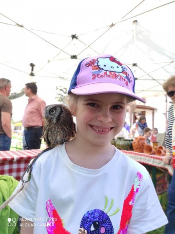 Bagoly a Tájházak Napján egy kislány vállán