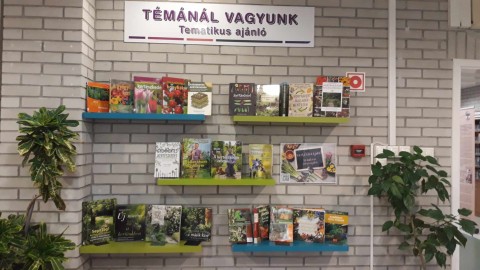 A kihelyezett könyvek a Témánál vagyunk polcon