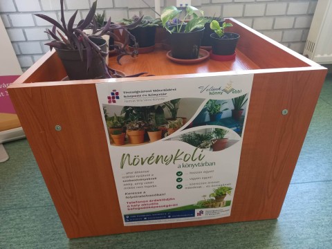 Növények a folyóiratolvasóban