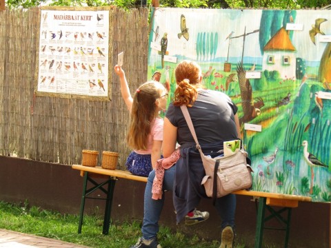 A Magyar Madártani Intézet kihelyezett molinója