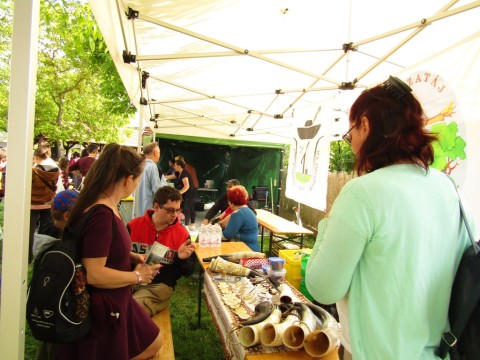 Bodnár Dániel szarufaragó munkái