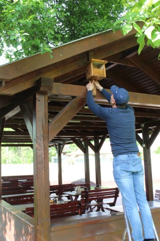 Madárodú kihelyezése a tájház udvarán