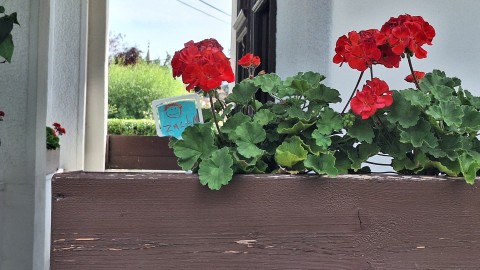 Minden virágnak volt felelőse