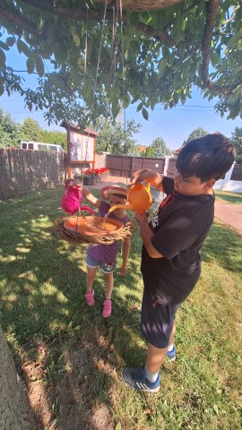 A madáritatóba is friss víz került minden nap