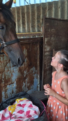 A Szederkényi Lovasudvarban kötöttünk ki