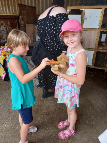 A lovaglás után nyulakat etettünk