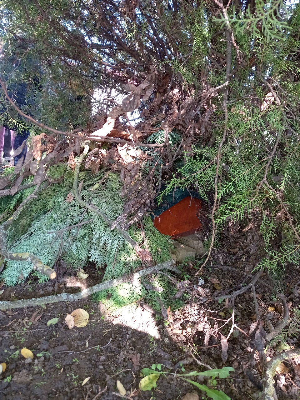 Süngarázs a Tiszaszederkényi Művelődési Ház udvarán