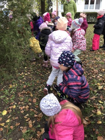 Keresik a gyerekek a süngarázst