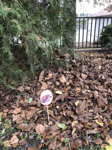 A süngarázs helye a Tiszaszederkényi Művelődési Ház udvarán.