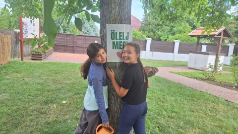 A virágok és az itatók mellett a fákról sem feledkeztünk meg