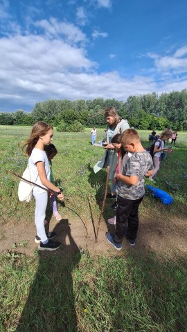 Kövekkel és botokkal az égtájakat is meg tudtuk határozni.