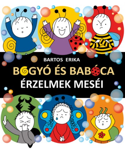 A könyv borítója