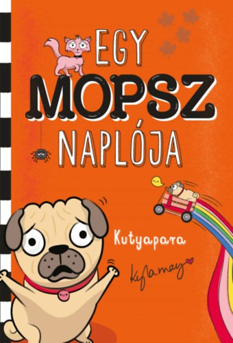 A könyv borítója