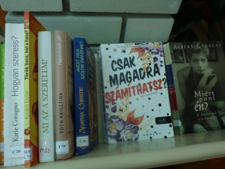 A kihíváshoz kihelyezett könyvek a könyvtárban