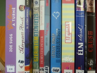 A kihíváshoz kihelyezett könyvek a könyvtárban