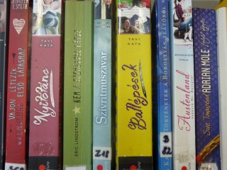 A kihíváshoz kihelyezett könyvek a könyvtárban