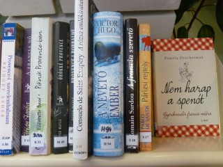 A kihíváshoz kihelyezett könyvek a könyvtárban