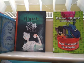 A kihíváshoz kihelyezett könyvek a könyvtárban