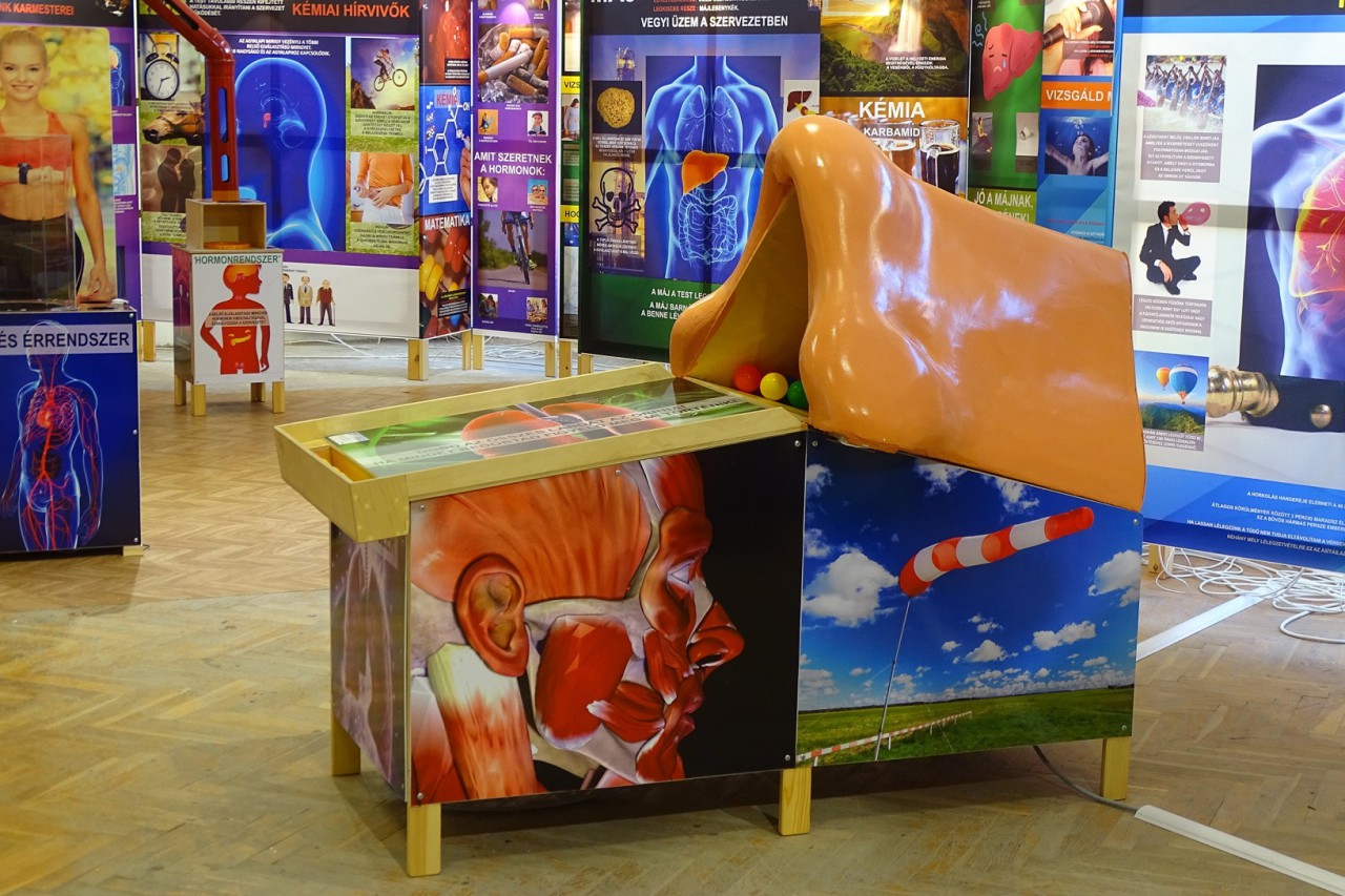 Tavaszi Fesztivál visszatekintés képekben