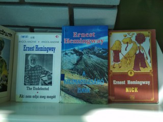 A kihíváshoz kihelyezett könyvek a könyvtárban