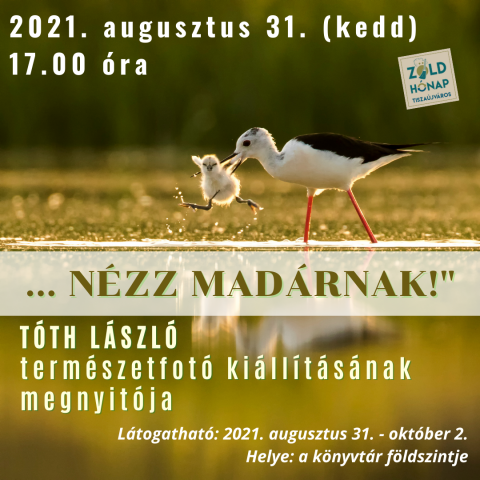 szeptemberi programok képekben