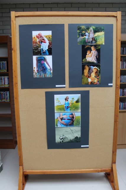 a kiállítás képei