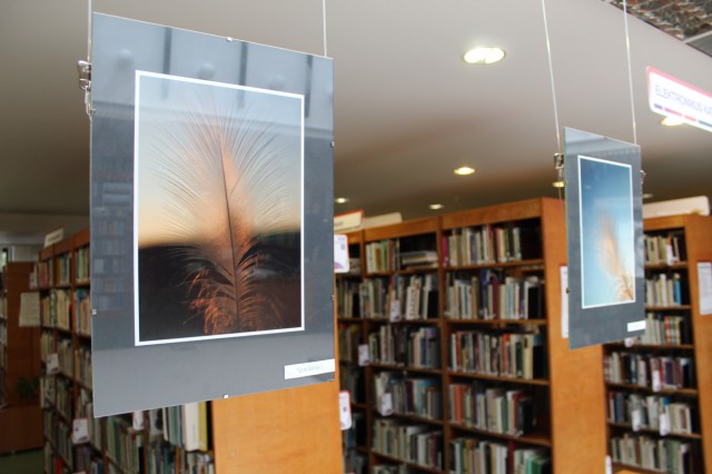 a kiállítás képei