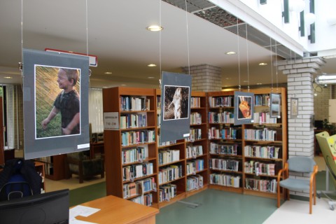 a kiállítás képei