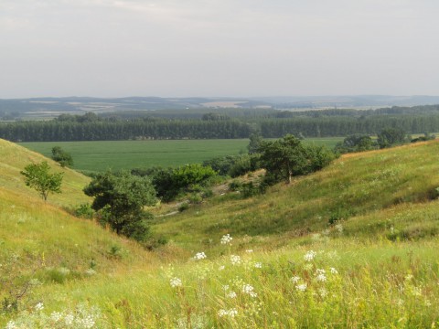 Képek a kéktúra szakaszairól