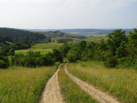 Képek a kéktúra szakaszairól