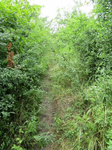 Képek a kéktúra szakaszairól