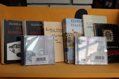 a kölcsönzőtérben kihelyezett könyvek