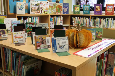 Kihelyezett könyvek a gyermekkönyvtárban.