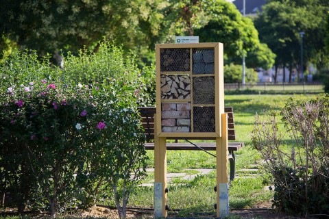 Rovarhotel Budapesten a Nehru parkban. Fotó: FŐKERT