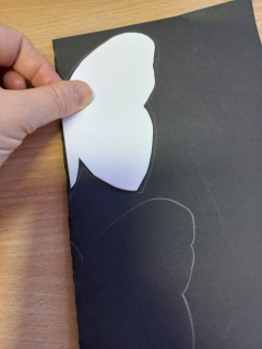 A forma segítségével megrajzoljuk a pillangót.