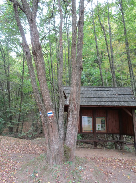 Bélapátfalva-Szarvaskő kéktúra szakasz