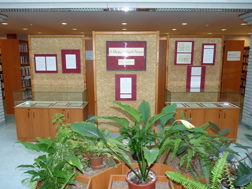 A kiállítás képei a könyvtárban