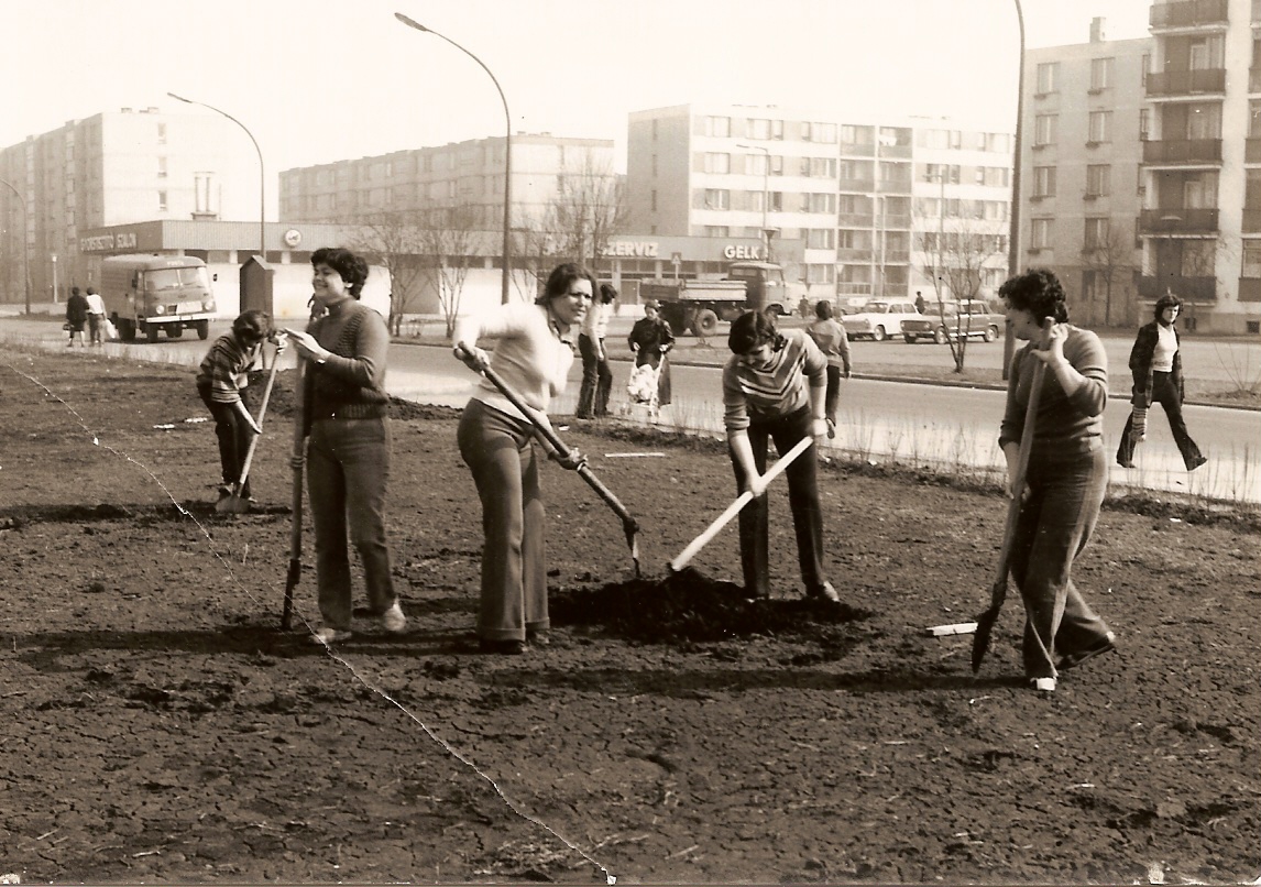 Társadalmi munkások a Nógrádi Sándor utcában